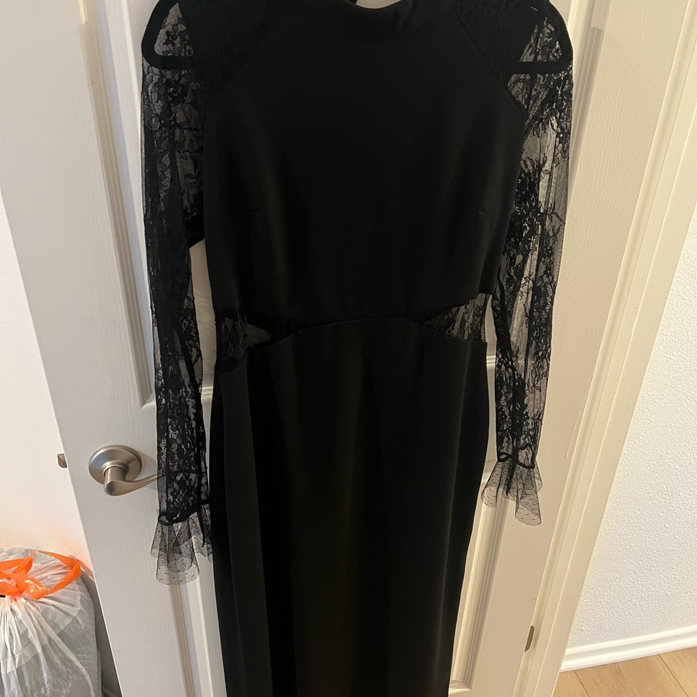 Lulu's Elegant Black Lace Long Sleeve Dress